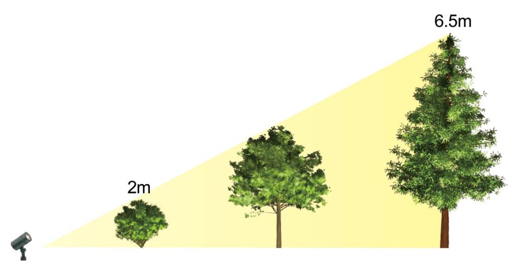 樹木の高さと光量の関係