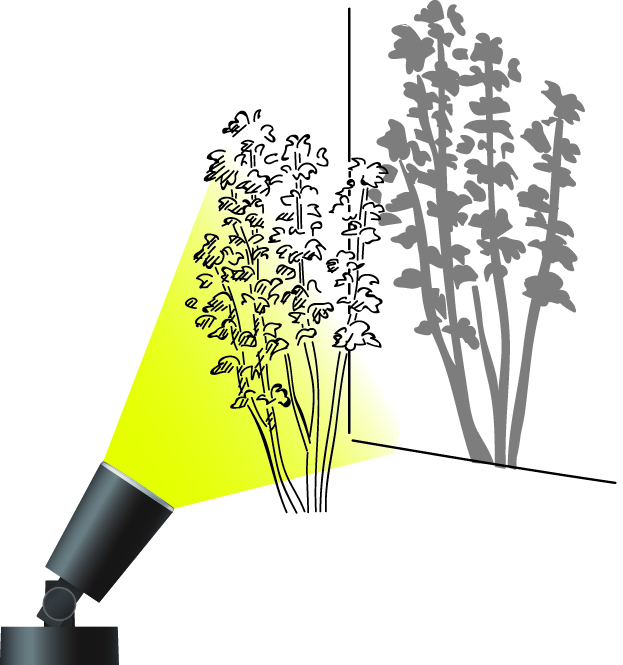 ひかりノベーションの事例紹介 庭の大きな2本の樹木のライティング Digispot デジスポット