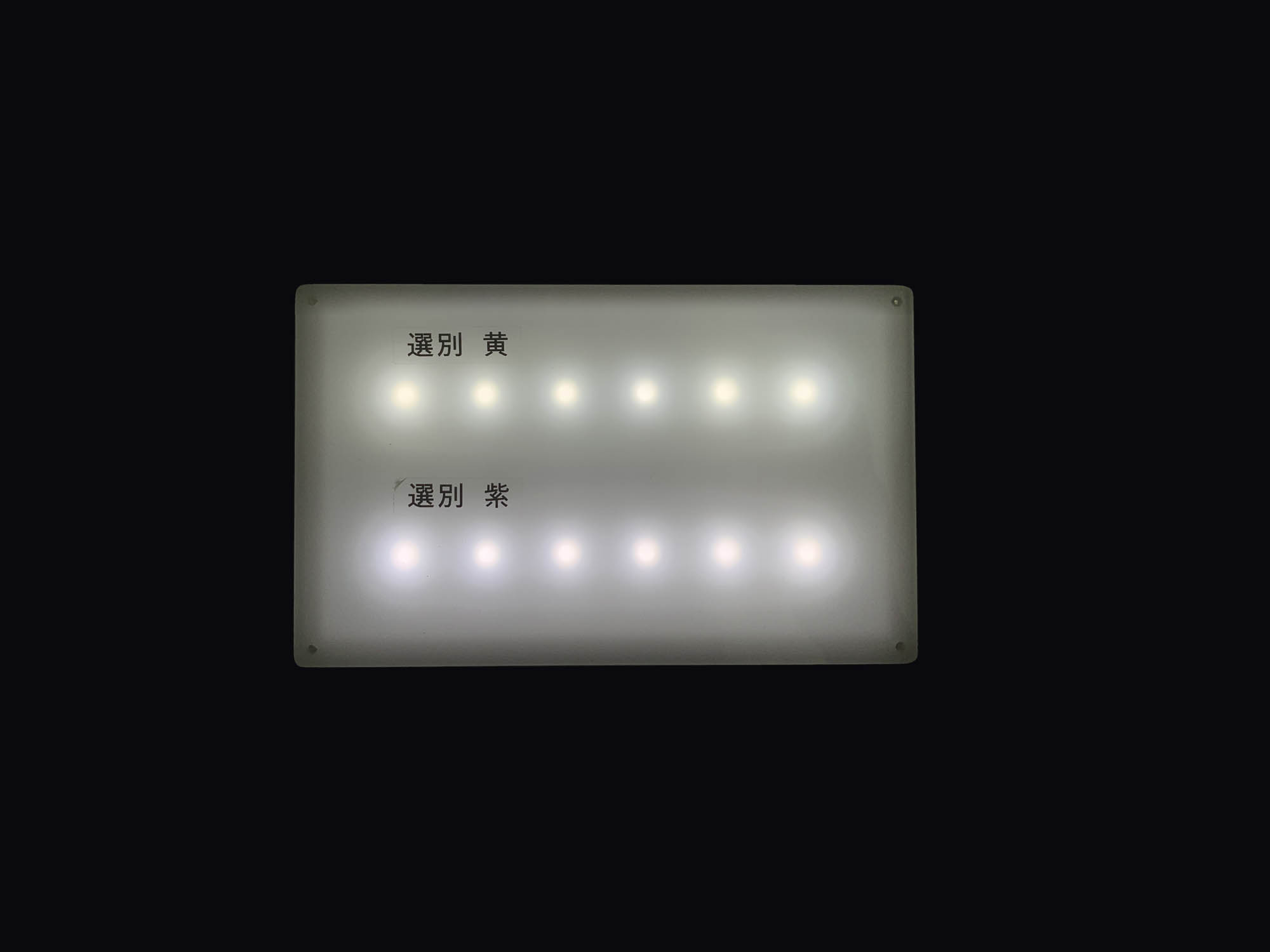 LED選別後の発光の写真