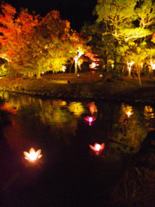 特注のフローティングライトを浮かべた白水阿弥陀堂の池の写真