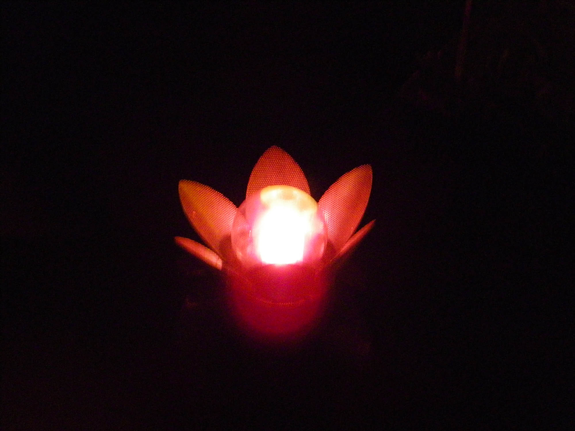 白水阿弥陀堂のライトアップのために製作された特注のフローティングライトを水に浮かべている写真