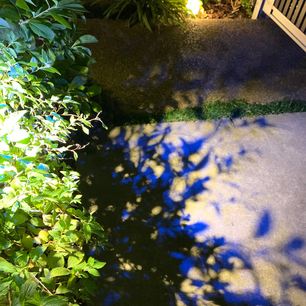 ブルーのカラーシャドウフィルターを使って照らした植栽の影を、アプローチの足下に投影した写真