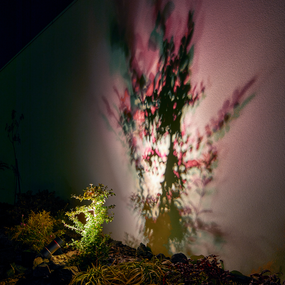 ピンクのカラーシャドウフィルターを使って照らした植栽の影を、庭の壁面に投影した写真