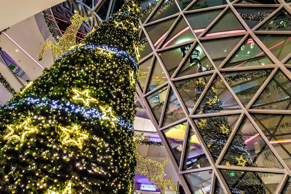 大型ツリーとのコンビネーション