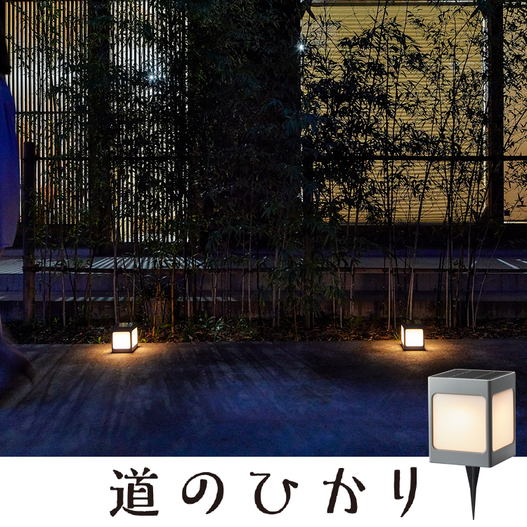 タカショー(Takasho) ソーラーライト ひかりノベーション SUNCHARGE サンチャージ 花のひかり 2個セット LGS-LH02P ブラッ タカショー ガーデンライト ひかりノベーション 壁のひかり 追加用