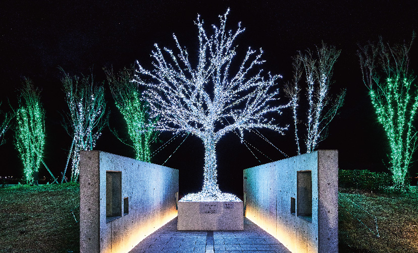 泉南りんくう公園に設置された人工樹のクリスマスツリーのイルミネーション