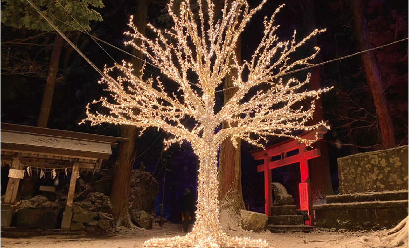 カミのすむ山 十和田湖 FeStA LuCe 2021-2022
『第2章 光の冬物語』に設置された人工樹のクリスマスツリーのイルミネーション