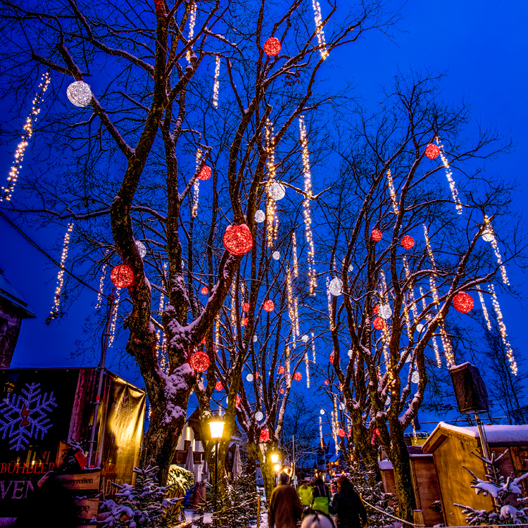 電球装飾でイルミネーションした例