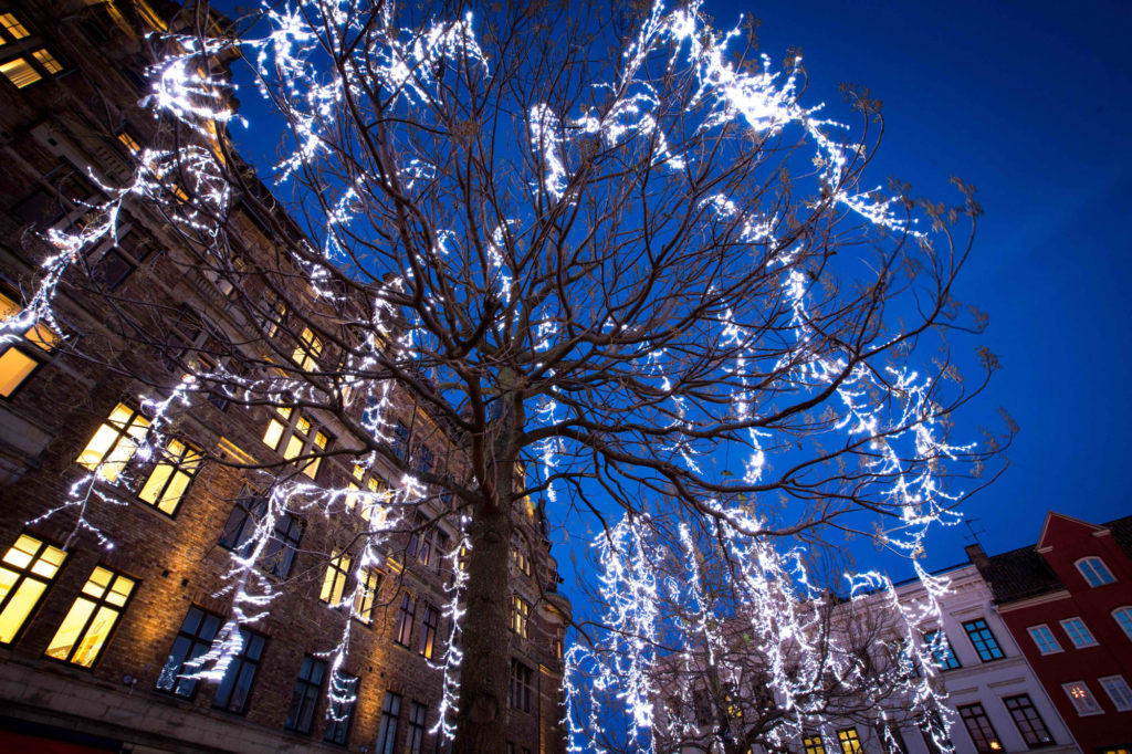 イルミネーションを霜が降りているように演出した例