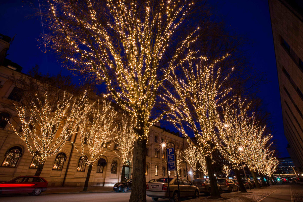 並木道に電球色の電球装飾でイルミネーションをした例
