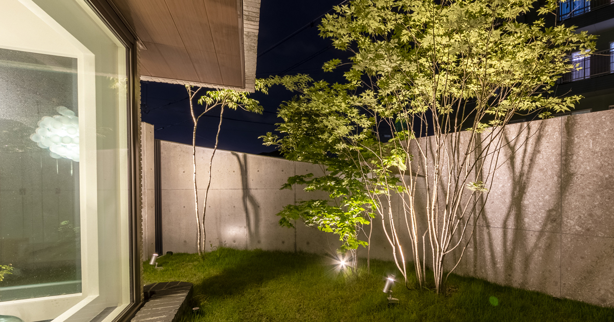 【レア】DOME LOOK LOG 別注ver.　新品未使用品 より美しい光を、より洗練された機能で。LumeK(ルーメック