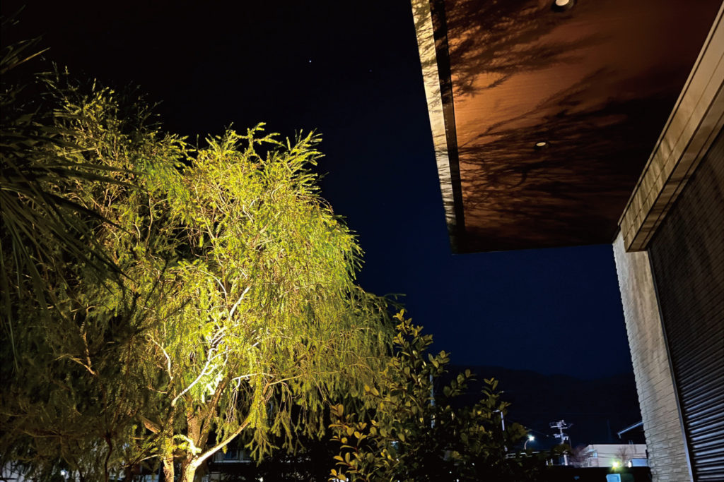 ツリースポットライトで樹木の内側から軒下に向かって照らして影を映している様子