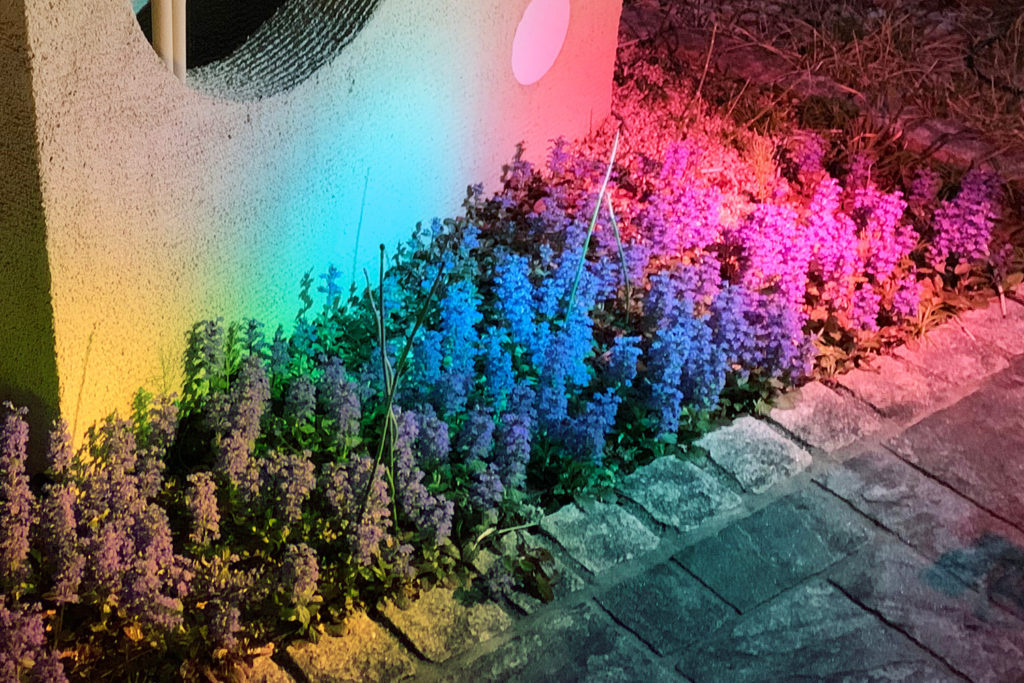 花壇の草花ををミニパレットライトのブルーとピンクとイエローでライトアップしたイメージ
