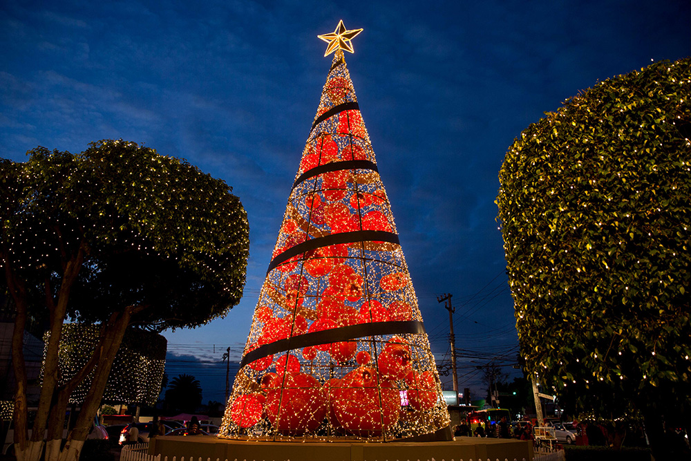 赤いオーガニックボールを入れたツリー
