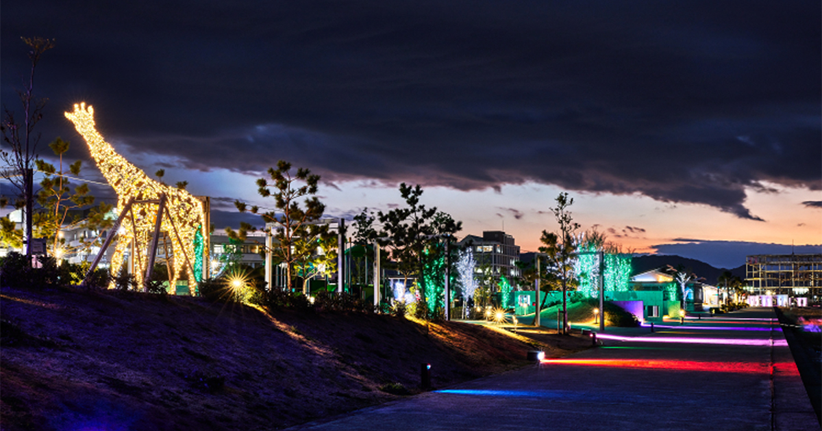 MKイルミネーションジャパンが手掛ける！日本国内の施工例集 2021年度