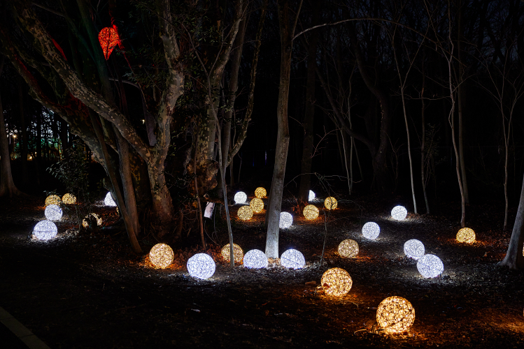 地表に設置されたオーガニックボール