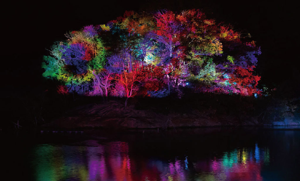 「水の都"花"と"光”のフェスティバル　フェスタ・ルーチェin松江」の写真7