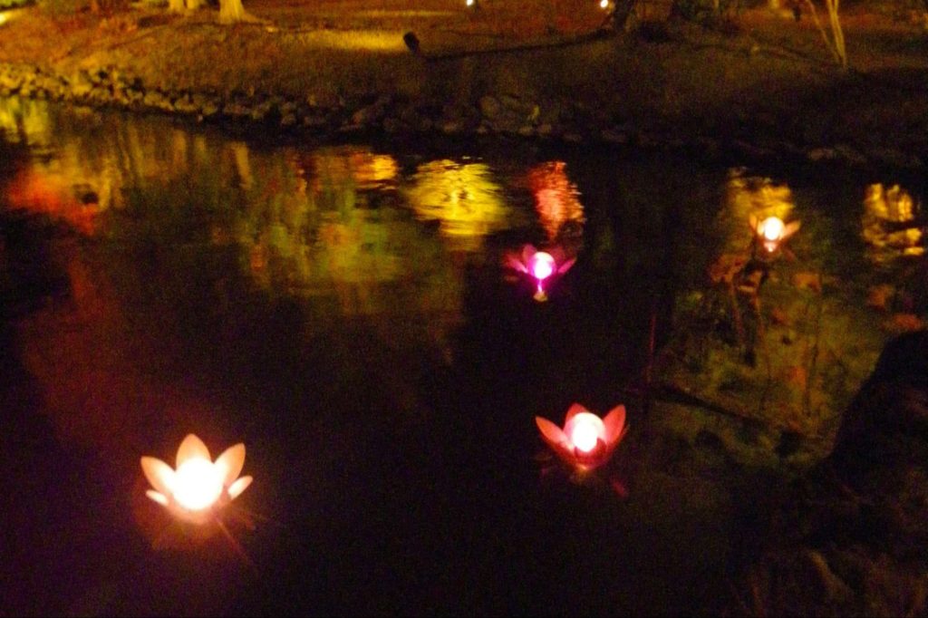 和風庭園に浮かぶ蓮の花ライトを取り入れた事例
