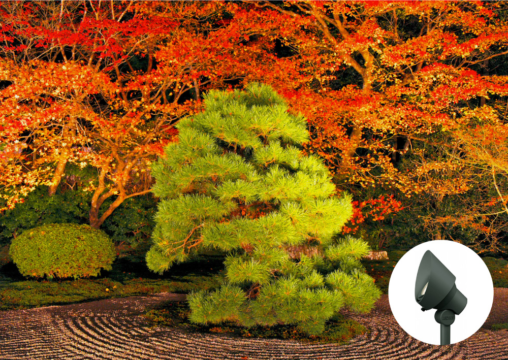 照明器具が目立たないようにライトアップされた日本庭園のイメージ