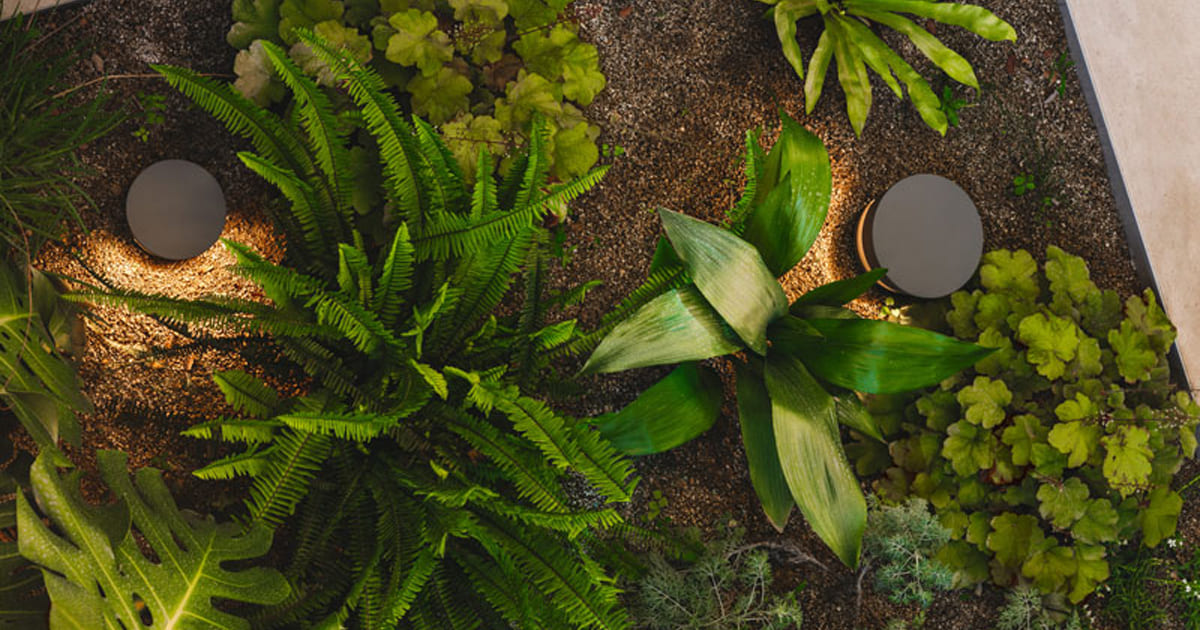 光で景観をつくる Dots outdoorのご紹介 | DIGISPOT（デジスポット）