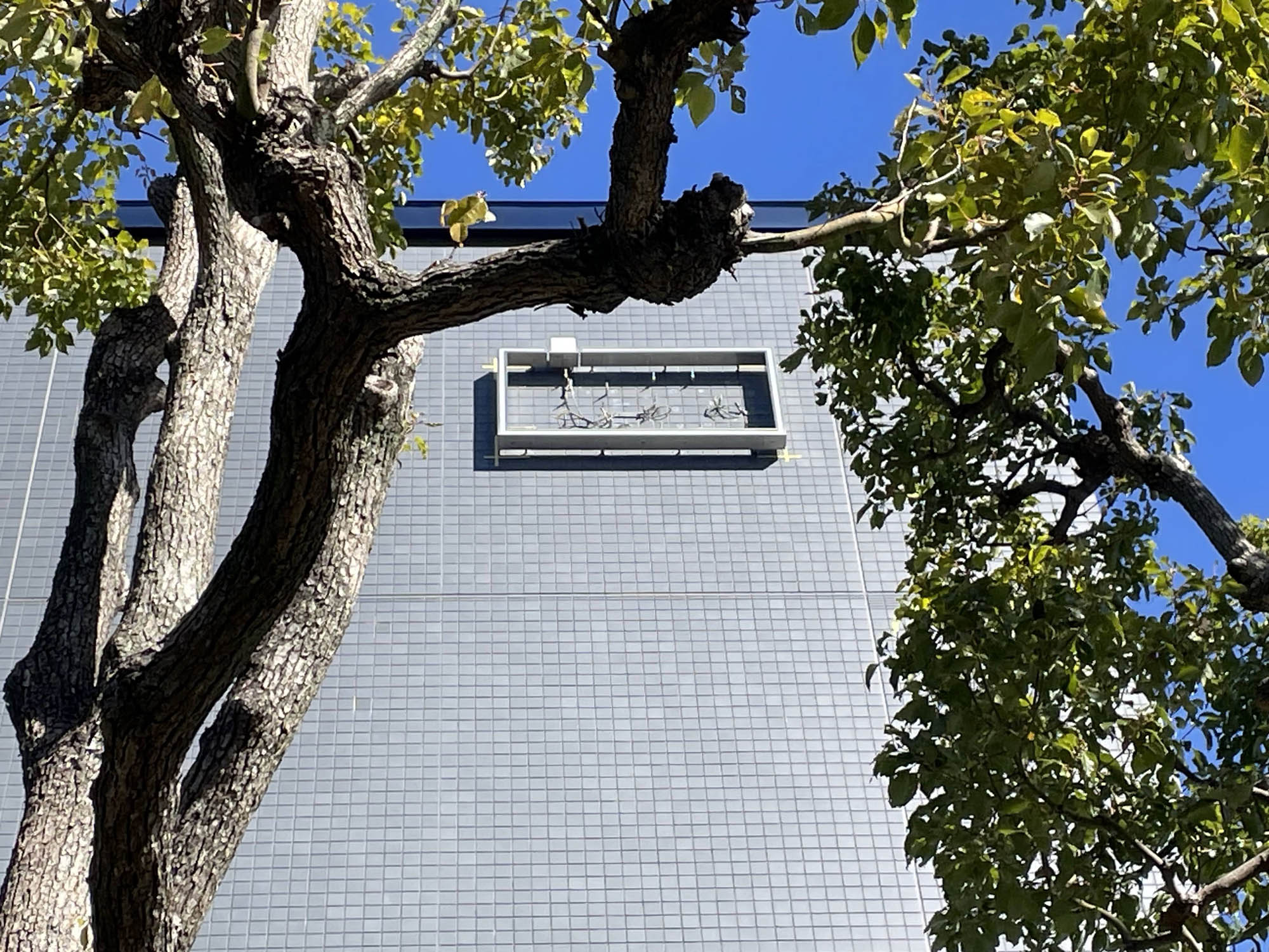 ジャパンギャランティサービス株式会社様の事例から 新しい顔、新しい光：ロゴとLEDサインのリニューアル | DIGISPOT（デジスポット）