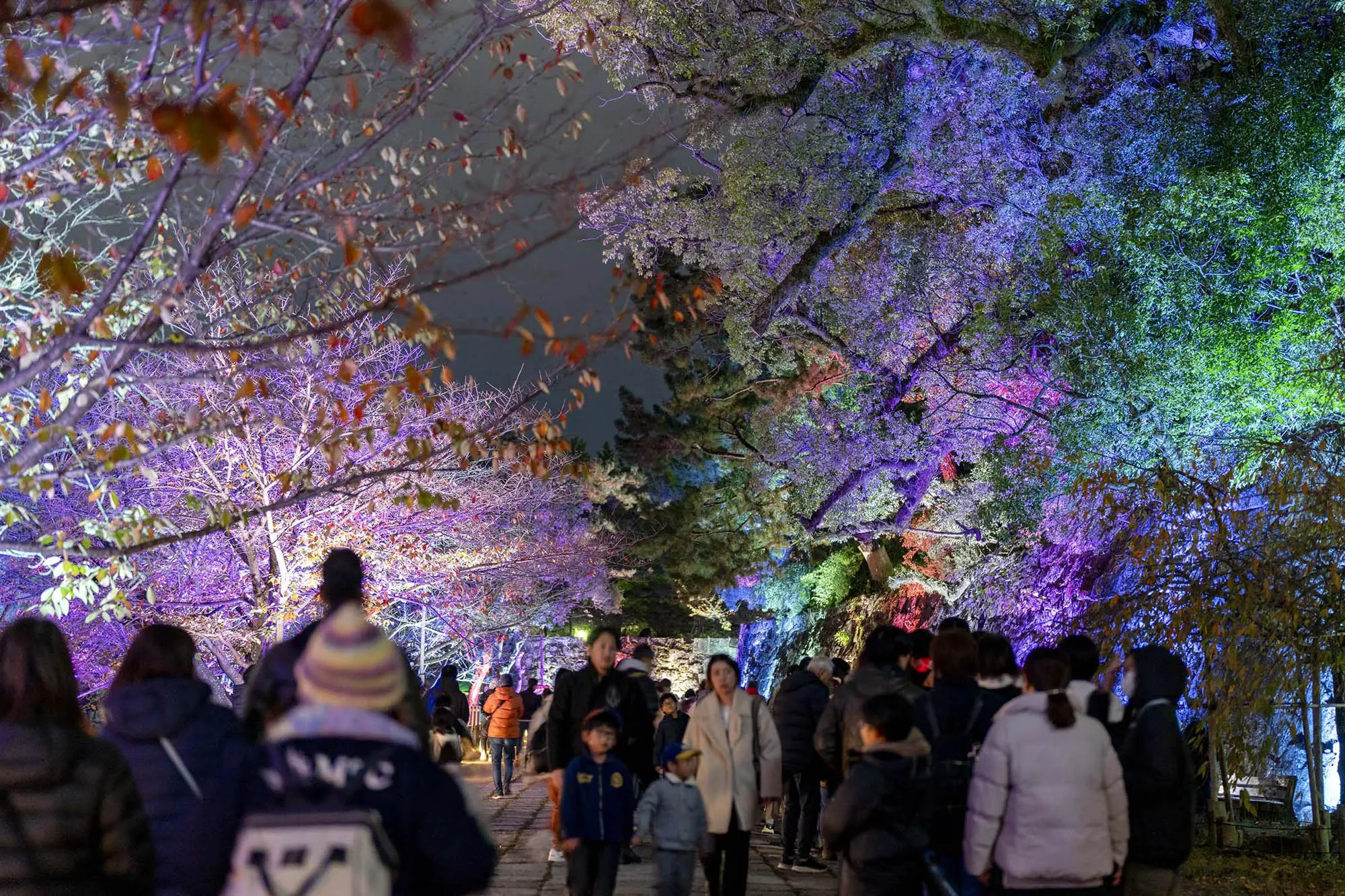 和歌山城の施工事例