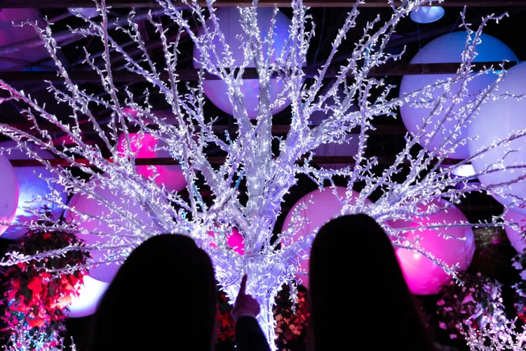 松江フォーゲルパークの施工事例