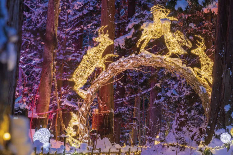 十和田湖の施工事例