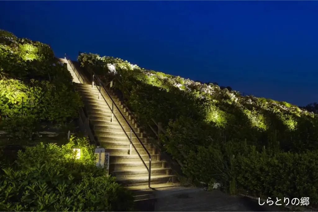 階段の手すりに間接照明を取り入れたイメージ