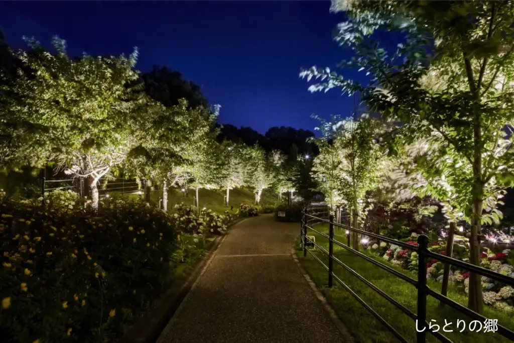 近年の公園のライトアップのイメージ