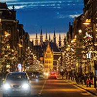 イルミ初心者必見。針葉樹を活かすイルミネーションテクニック4選