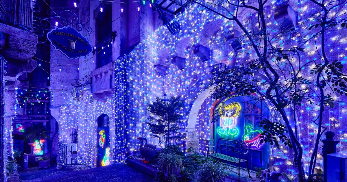 DIGITEC NEWS 12月号 Vol.1＞デジテック主催・プロデュースの光の