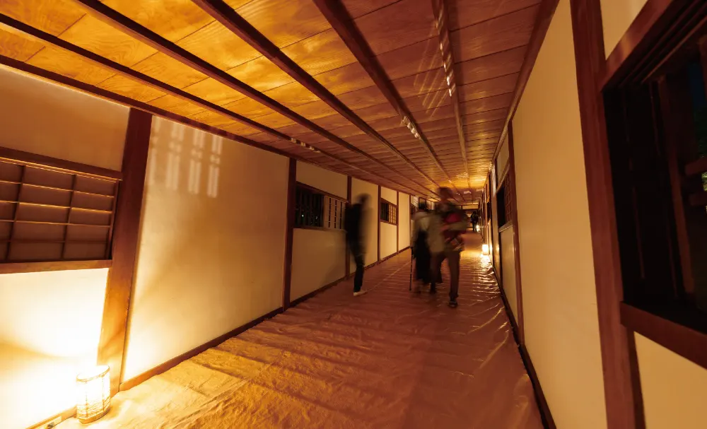 和歌山城ドローンショー「WAKAYAMA LIGHTS 2025」当日の周辺の様子2