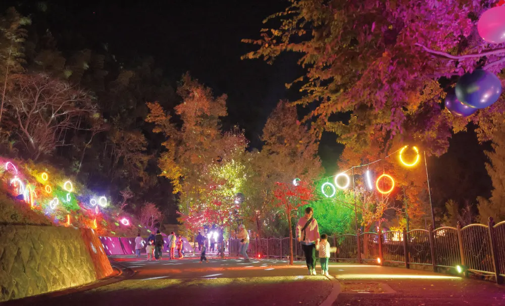 フェスタ・ルーチェ in えひめこどもの城の2025年開催の様子2