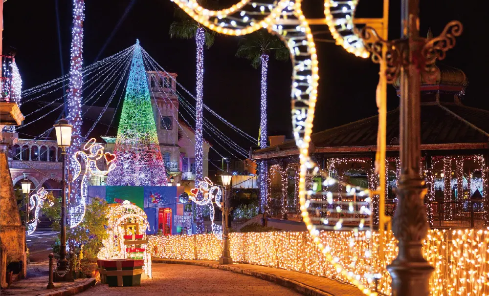 フェスタ・ルーチェ in 和歌山マリーナシティの2025年度開催の様子2