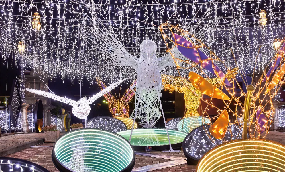 フェスタ・ルーチェ in 和歌山マリーナシティの「Infinity Bird(インフィニティバード)」の様子1