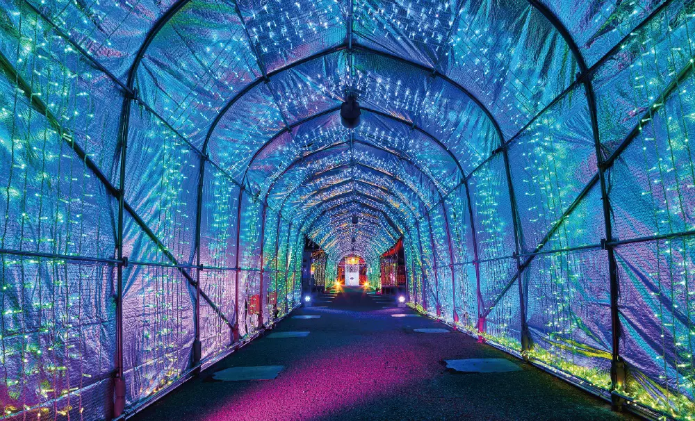 フェスタ・ルーチェ in 和歌山マリーナシティの「Reflective Light Tunnel (光のリフレクショントンネル)」の様子1