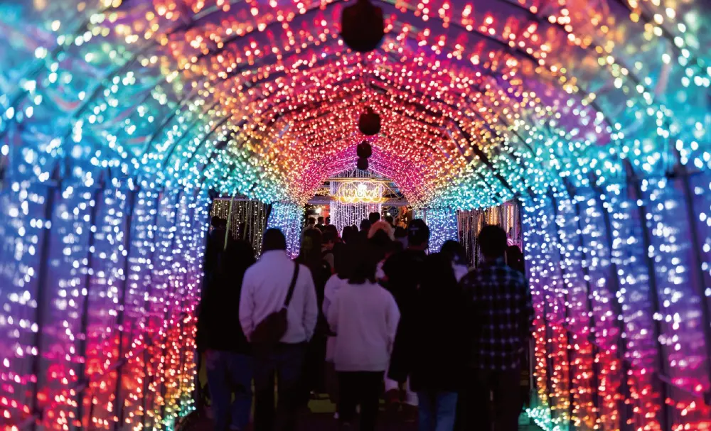 フェスタ・ルーチェ in 和歌山マリーナシティの「Reflective Light Tunnel (光のリフレクショントンネル)」の様子2