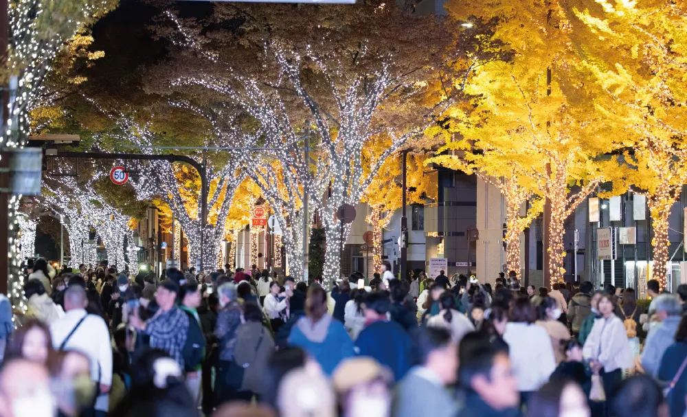 けやきライトパレードby FeStA LuCeの2025年度の街の様子