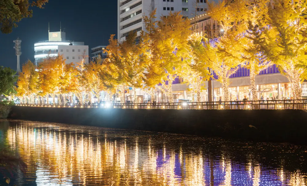 けやきライトパレードby FeStA LuCeの2025年度の点灯の様子