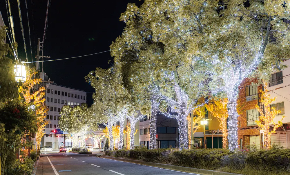 2025年度のけやきライトパレードby FeStA LuCeから新しく点灯された和歌山市駅周辺エリアの様子1