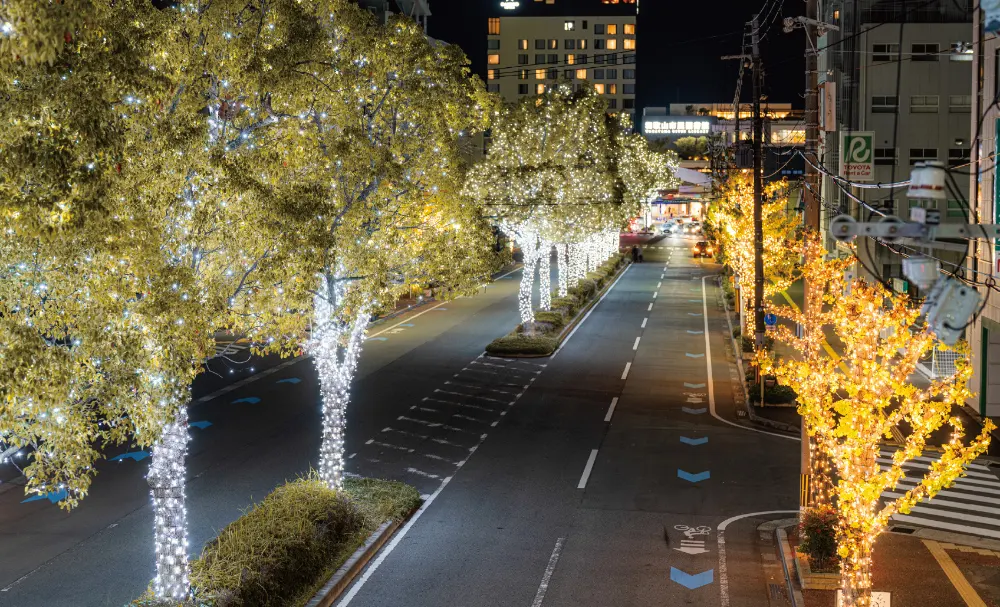 2025年度のけやきライトパレードby FeStA LuCeから新しく点灯された和歌山市駅周辺エリアの様子2