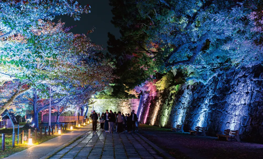 2024年度から行われている和歌山城〜光の回廊〜の演出の様子1