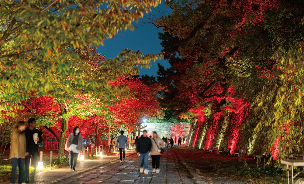 2024年度から行われている和歌山城〜光の回廊〜の演出の様子3