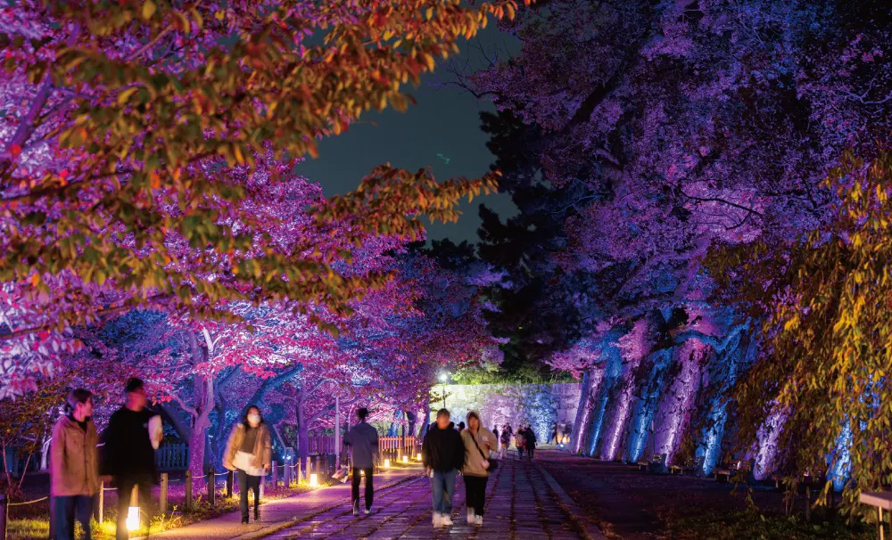 2024年度から行われている和歌山城〜光の回廊〜の演出の様子2