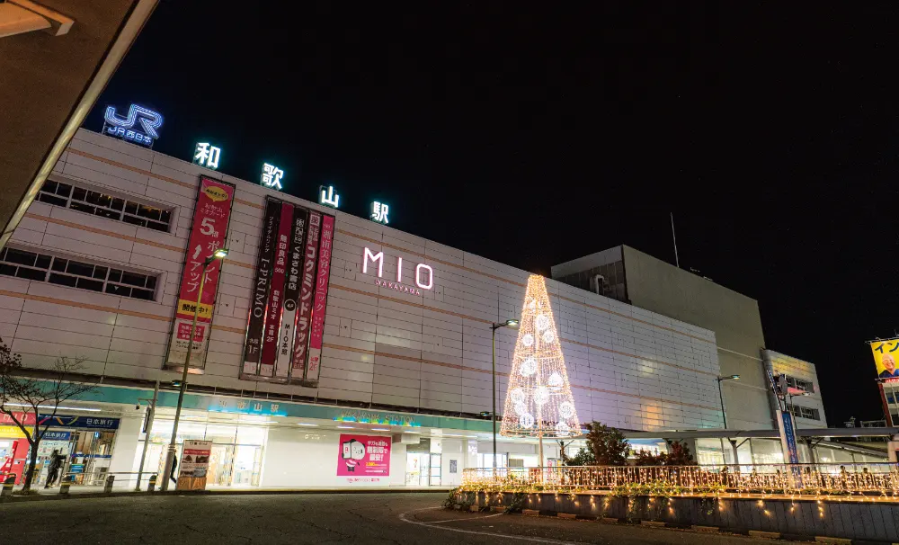 和歌山城ドローンショー「WAKAYAMA LIGHTS 2025」当日の周辺の様子5