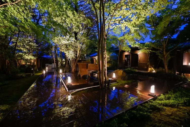 光のプロフェッショナルとしてのこだわりの記事①