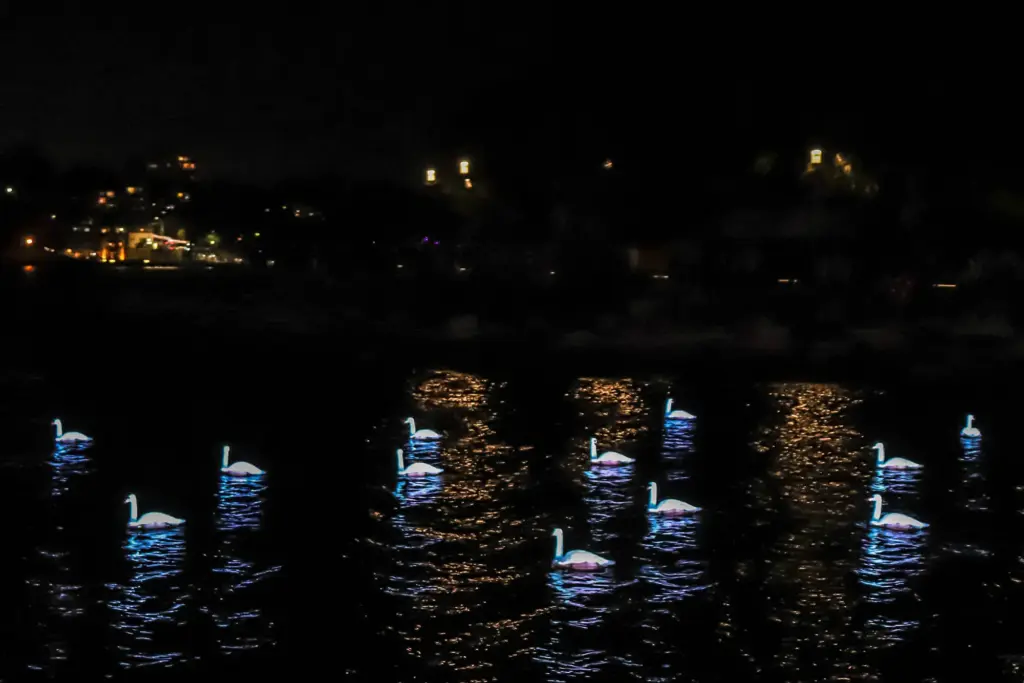 Vivid Sydneyで展示されていた作品「Cygnus(シグナス)」の様子②