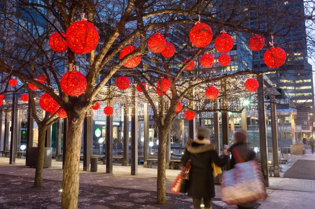 オーガニックボールの導入現場①