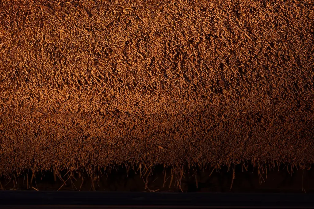 質感を活かすライトアップが施された茅葺屋根の様子